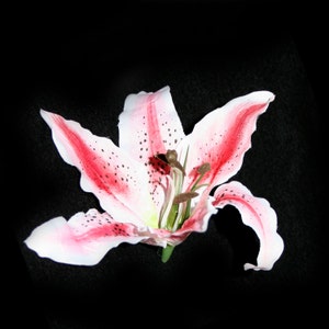 Jumbo Stargazer Lily - Pink and White - Easter Flowers - Artificial Flowers- PRE-ORDER