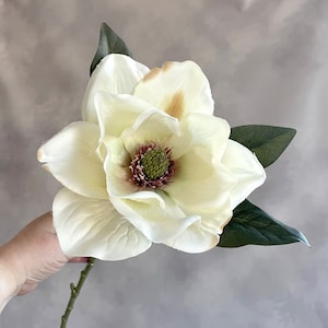 Magnolia crème géant avec ou sans tige - Fleur artificielle, tige de fleur en soie - PRÉ-COMMANDE