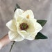 Jumbo Cream Magnolia With or Without Stem - Artificial Flower, Silk Flower Stem - PRE-ORDER 