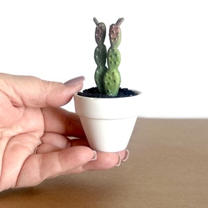 May include: A small white pot with a green and brown cactus plant. The pot is about 3 inches tall and the cactus is about 4 inches tall.