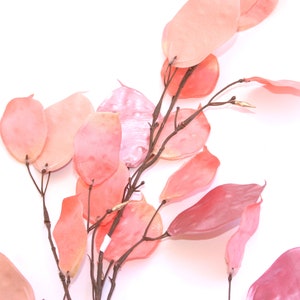 Peach Pink Metallic Silver Dollar Stem - Floral, Artificial Flowers, Silk Flowers