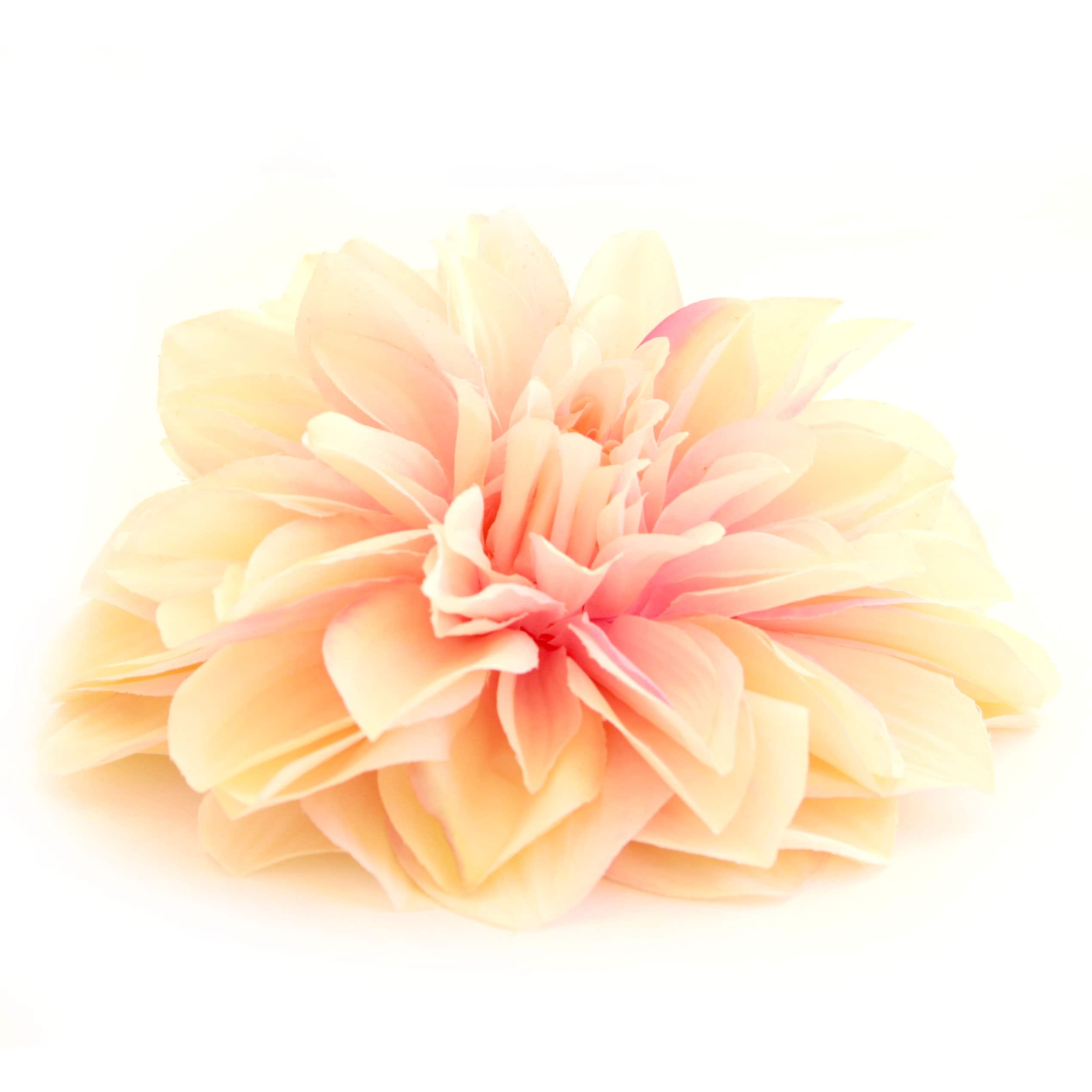 Cream Blush Pink Silk Dinner Plate Dahlia - Artificial Flower, Silk ...