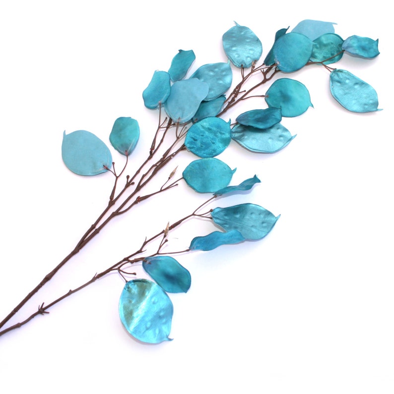 Turquoise Metallic Silver Dollar Stem Floral Artificial Etsy