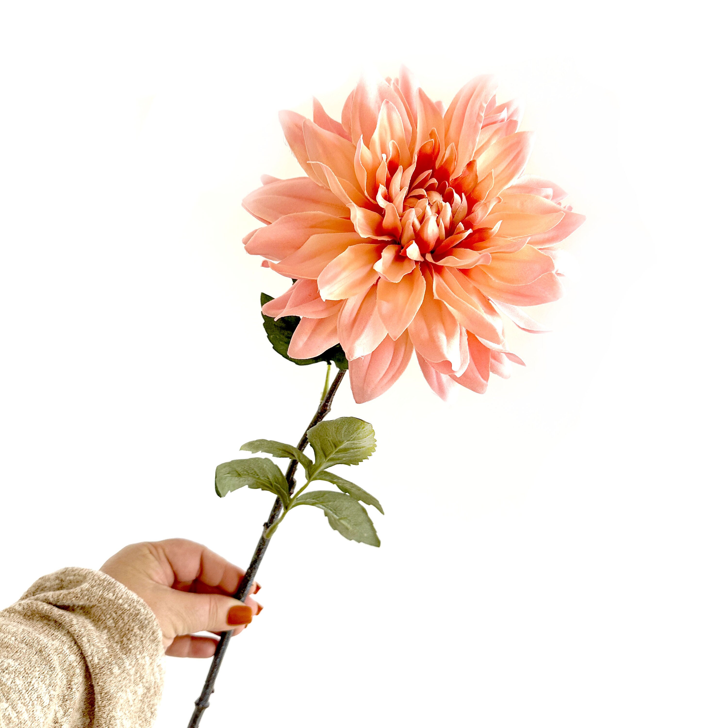 Creamy Pink Dinner Plate Dahlia - Artificial Flower, Silk Flower ...