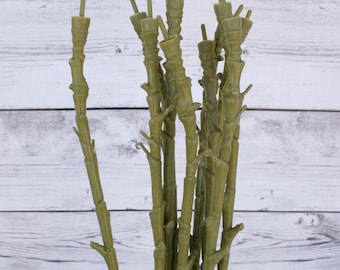 25 Thick Magnolia Stems for DIY Bouquets - Stems only