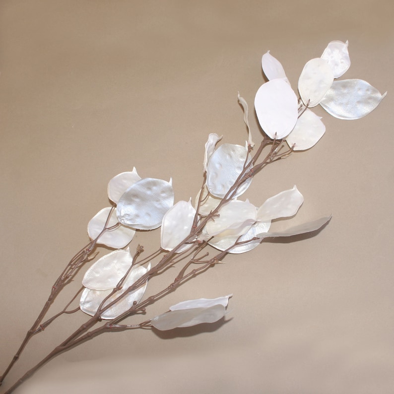 Cream Metallic Silver Dollar Stem Floral Artificial Etsy