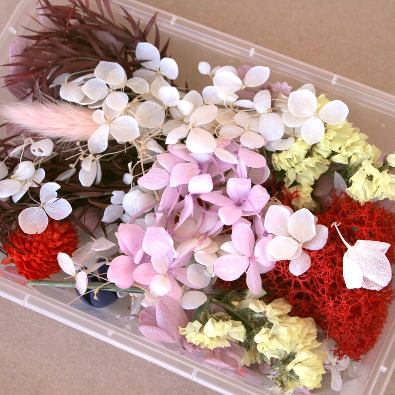 Pu&ograve; includere: Un contenitore di plastica trasparente pieno di fiori e foglie secche. I fiori sono in tonalit&agrave; di bianco, rosa, giallo e rosso. Il fogliame &egrave; verde e marrone.