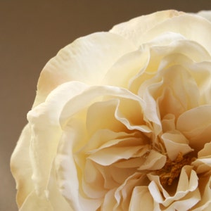 1 Large Cream Sophia Rose Peach Accents Artificial Flower PRE-ORDER With or Without Stem image 3