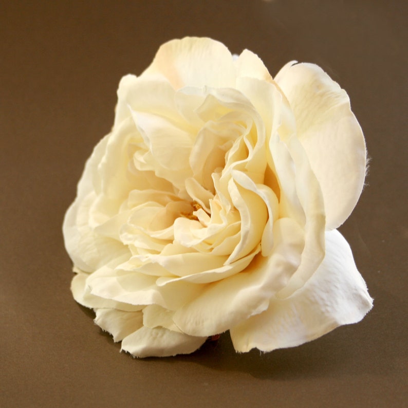 1 Large Cream Sophia Rose Peach Accents Artificial Flower PRE-ORDER With or Without Stem image 1