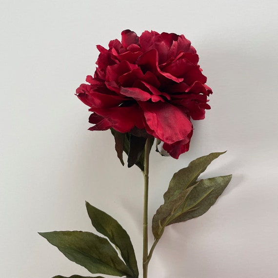 Peonía Roja Profunda Muy Llena Cabeza de Flor Artificial - Etsy México Peonía Roja Profunda Muy Llena Cabeza de Flor Artificial - Etsy México