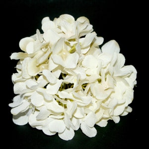 Creamy White Hydrangea Bunch Full Head Artificial Flowers, Blossoms, Silk Flowers PRE-ORDER image 3