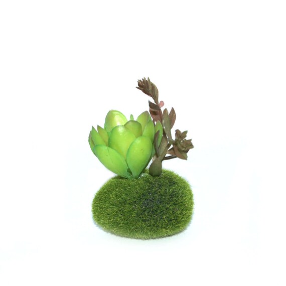 Faux Succulent in Green Moss Artificial Succulents Etsy