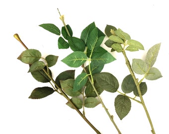 10 Large Rose Stems with Leaves for DIY Bouquets - Mixed Variety