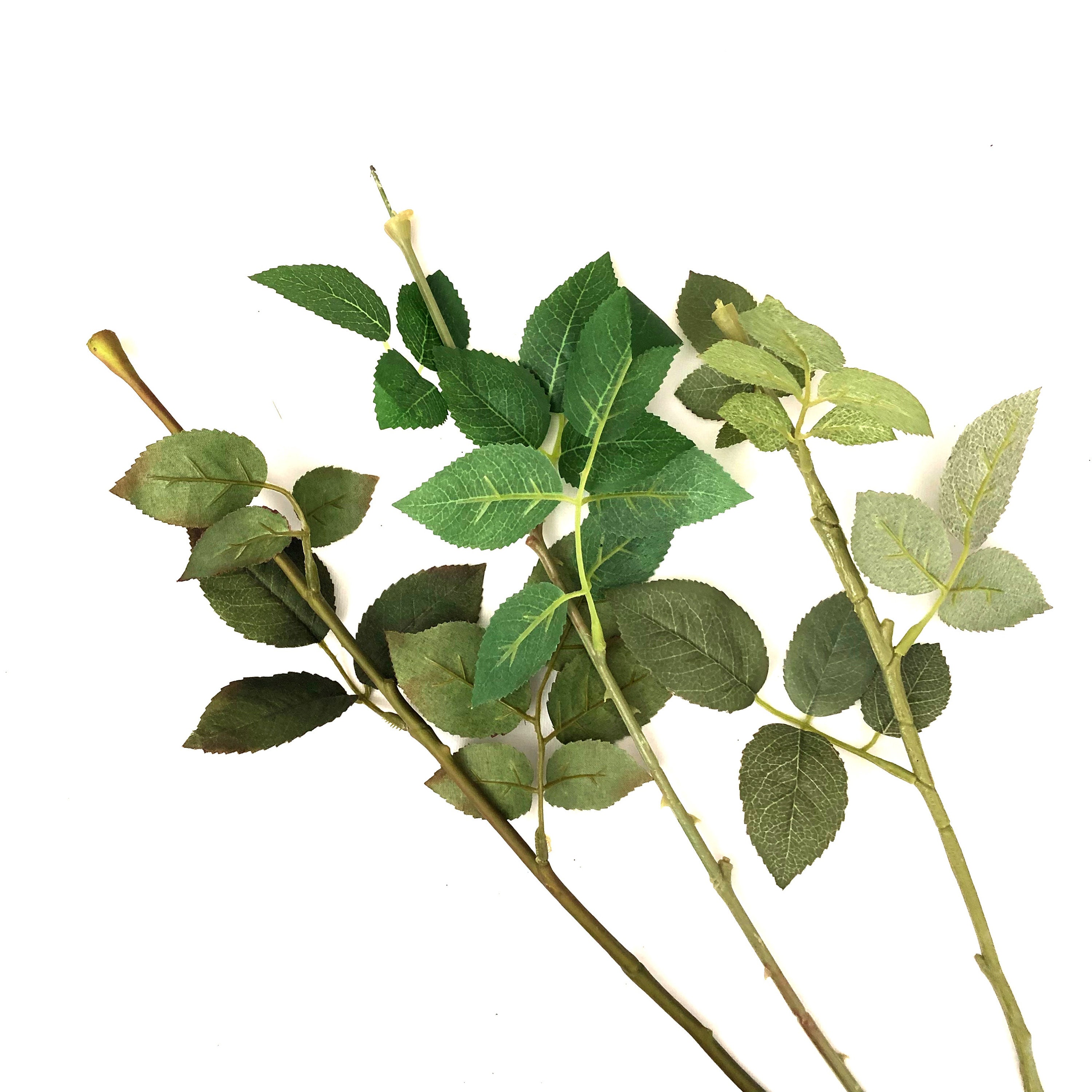 10 Large Rose Stems with Leaves for DIY Bouquets Mixed Etsy