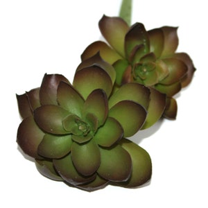Faux Succulent in Red and Green - Two Flowers - Artificial Succulents- Echeveria
