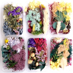 Pu&ograve; includere: Sei contenitori di plastica trasparente pieni di fiori e foglie secche. I contenitori sono disposti in due file da tre. I fiori sono di vari colori, tra cui viola, rosa, giallo e verde.