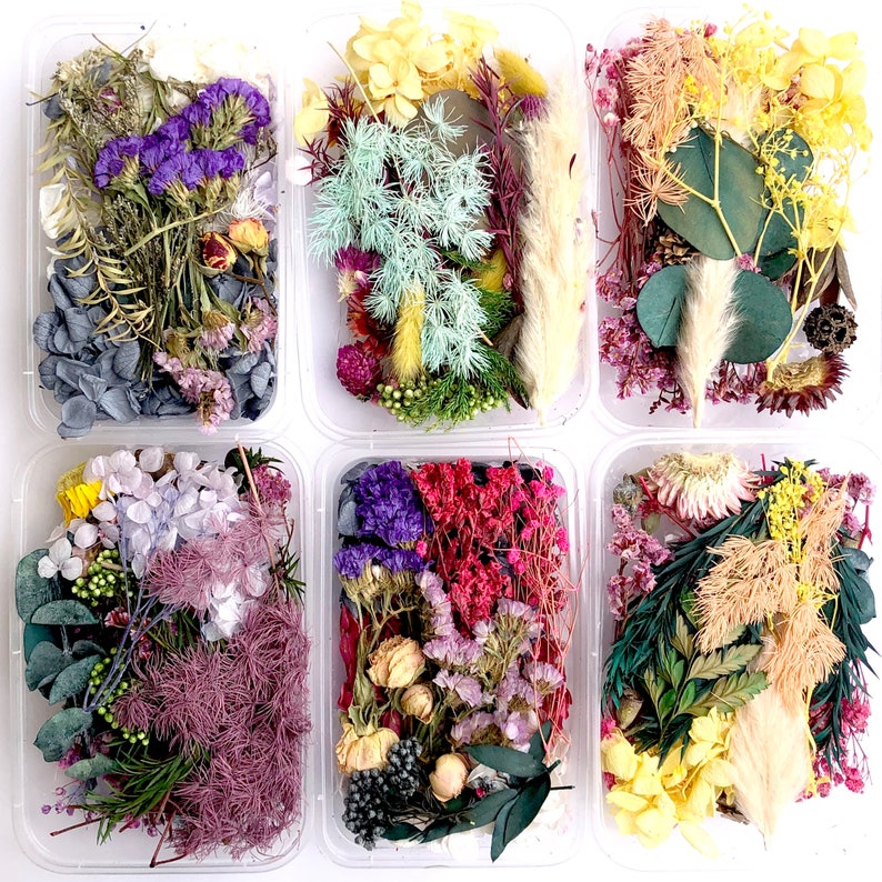Pu&ograve; includere: Sei contenitori di plastica trasparente pieni di fiori e foglie secche. I contenitori sono disposti in due file da tre. I fiori sono di vari colori, tra cui viola, rosa, giallo e verde.