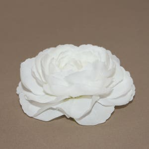 Large Soft White Ranunculus