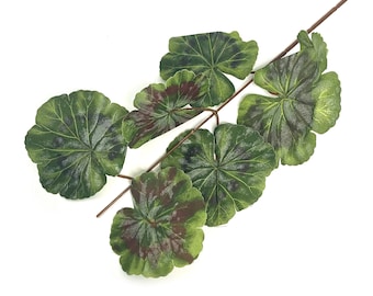 5 Geranium Stems with Leaves for DIY Bouquets - Stems Only