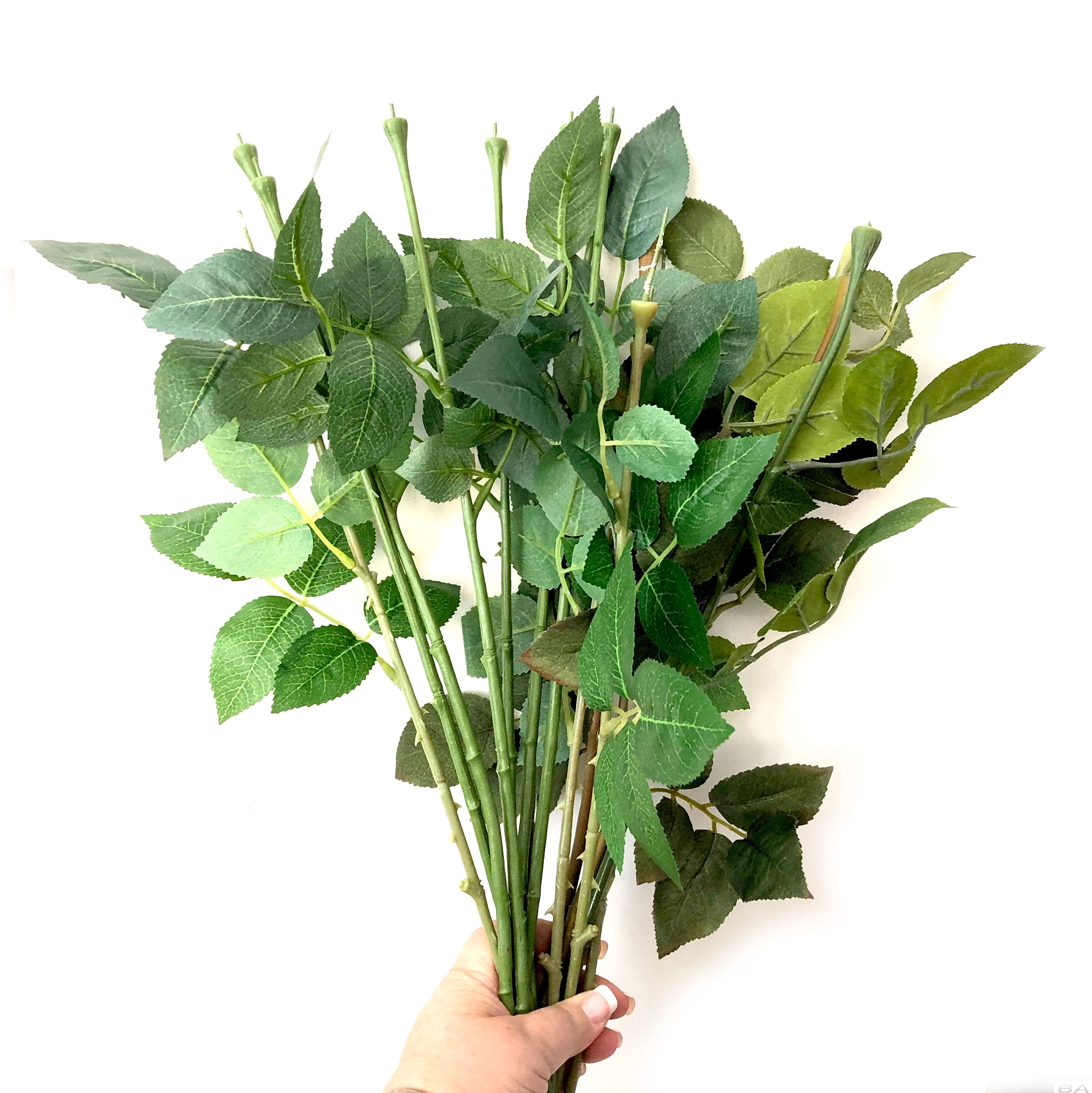 10 Large Rose Stems with Leaves for DIY Bouquets Mixed Etsy