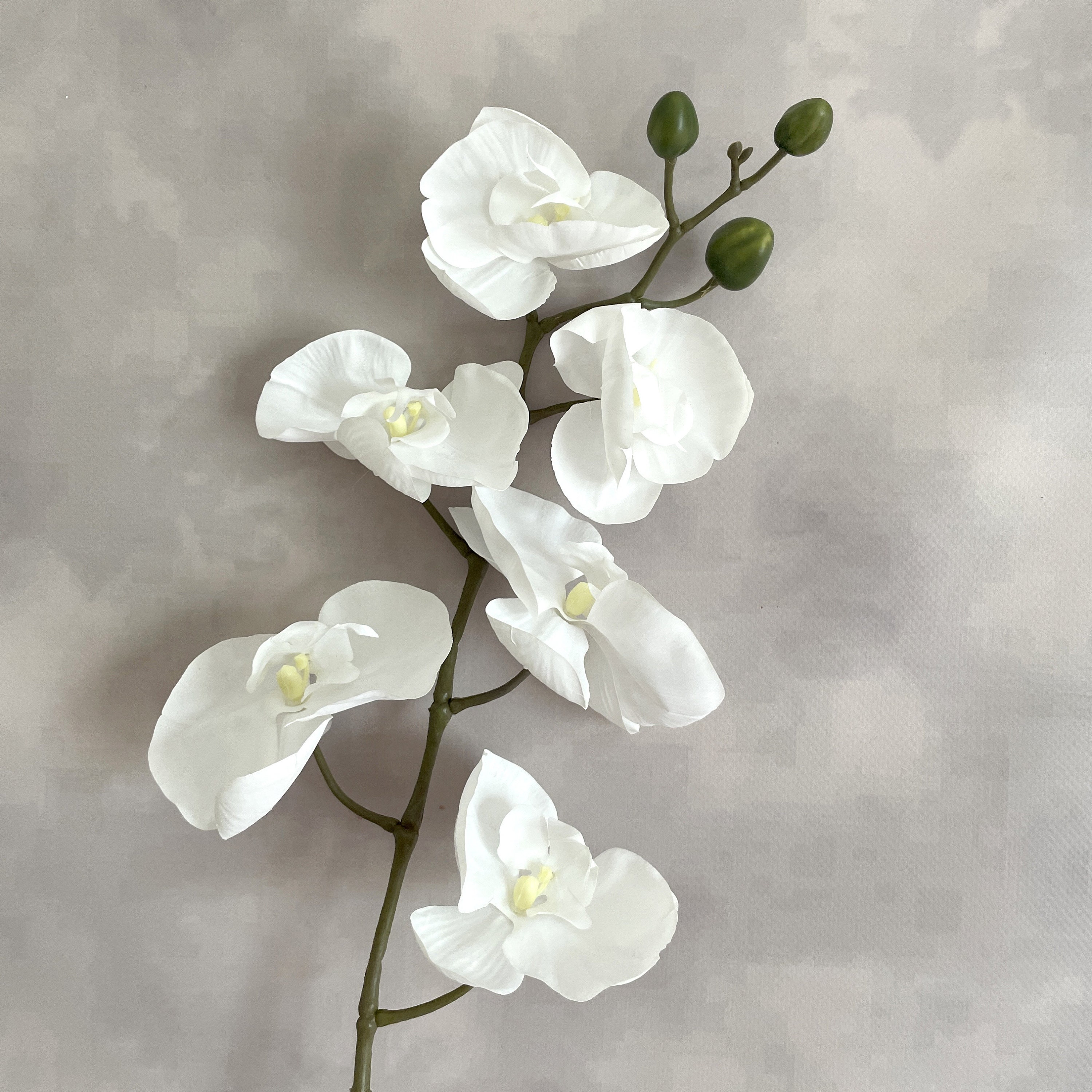 Branche dorchidée Phalaenopsis blanche fleurs de soie - Etsy France