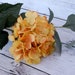 see more listings in the Hydrangeas / Blossoms section