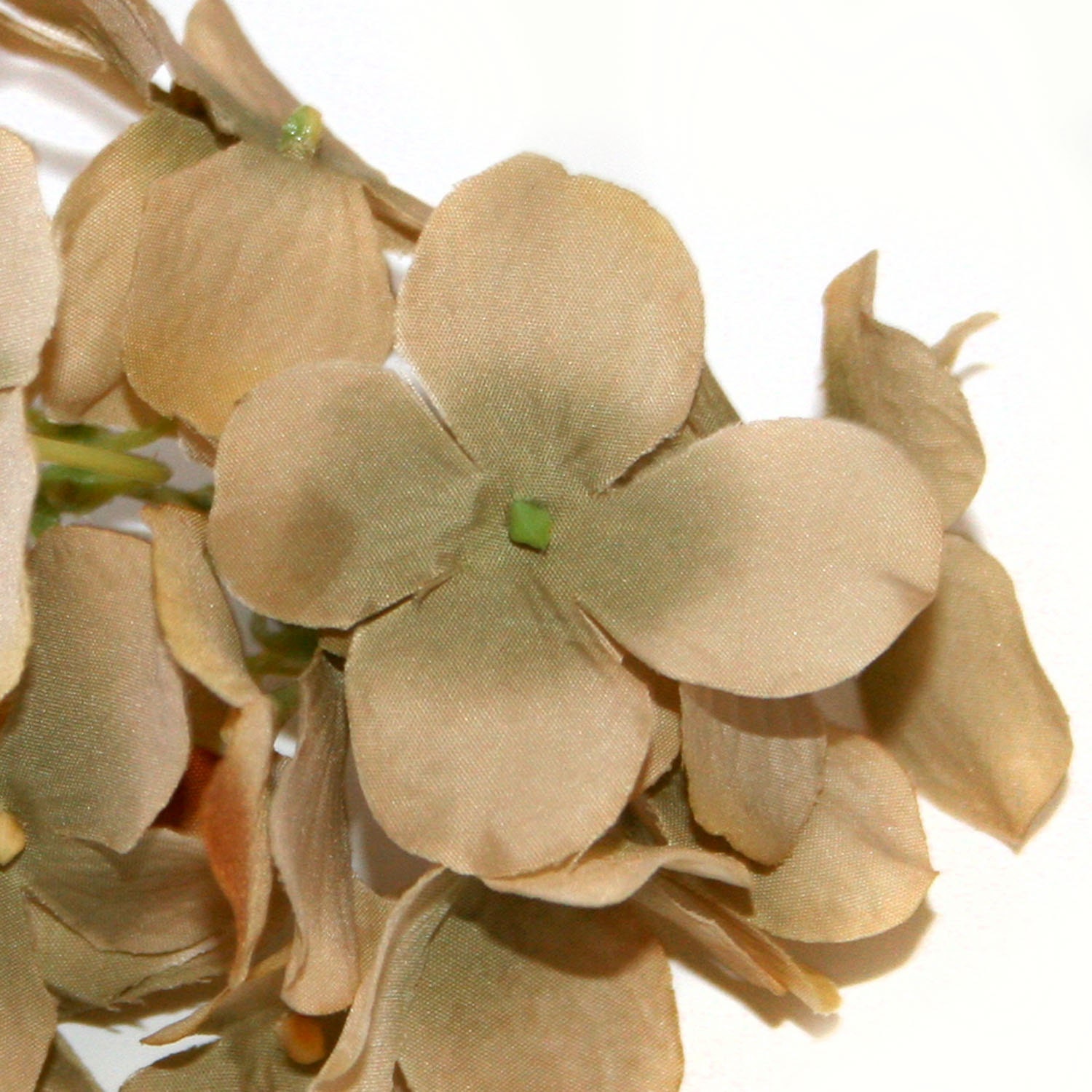 1 Beige Hydrangea Bunch - Small Head - Artificial Flowers, Blossoms ...