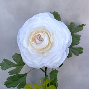 Large Cream Ranunculus - Silk Flowers, Artificial Flowers