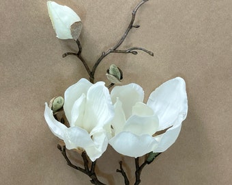 May include: A white magnolia flower with three buds on a brown branch. The flower is in bloom and has a delicate, feminine appearance.