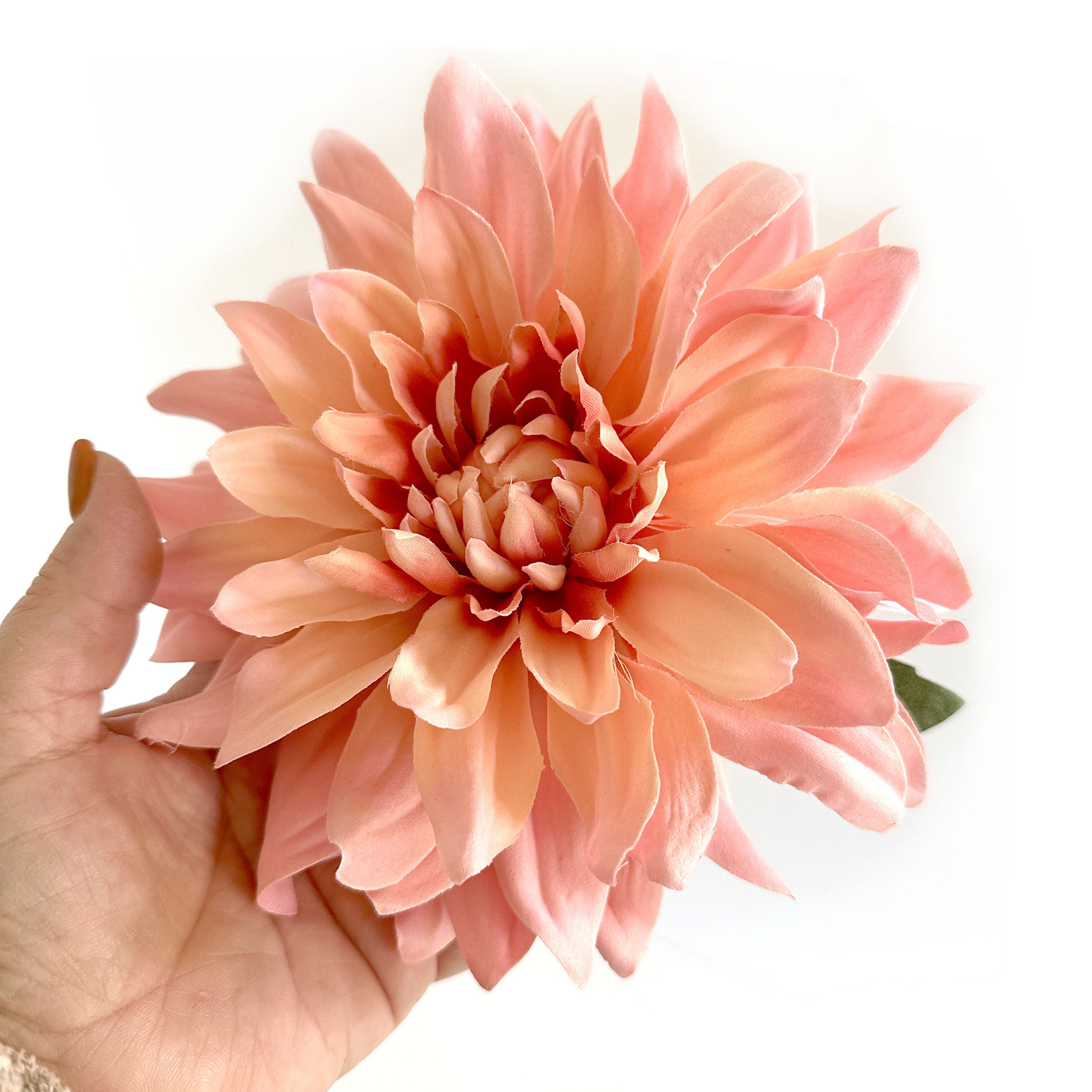 Creamy Pink Dinner Plate Dahlia - Artificial Flower, Silk Flower ...
