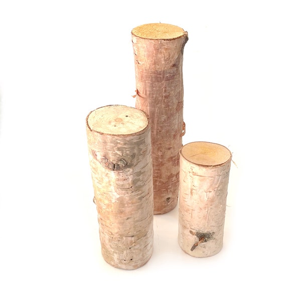 3 Mini Birch Logs - Holiday Floral - Organic Floral Accents