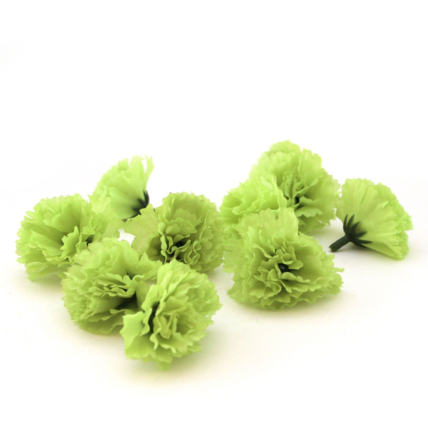 Green Carnation Flower