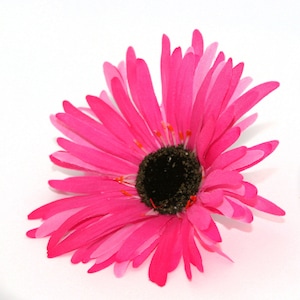 Hot Pink Wild Gerbera Daisy - Artificial Flowers, Silk Flower Heads - PRE-ORDER