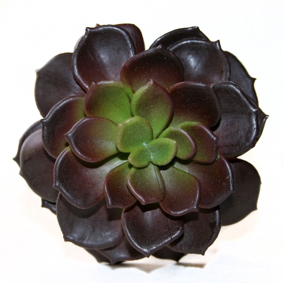 Faux Succulent in Dark Red and Green - Artificial Succulents- Echeveria -  PRE-ORDER - Etsy
