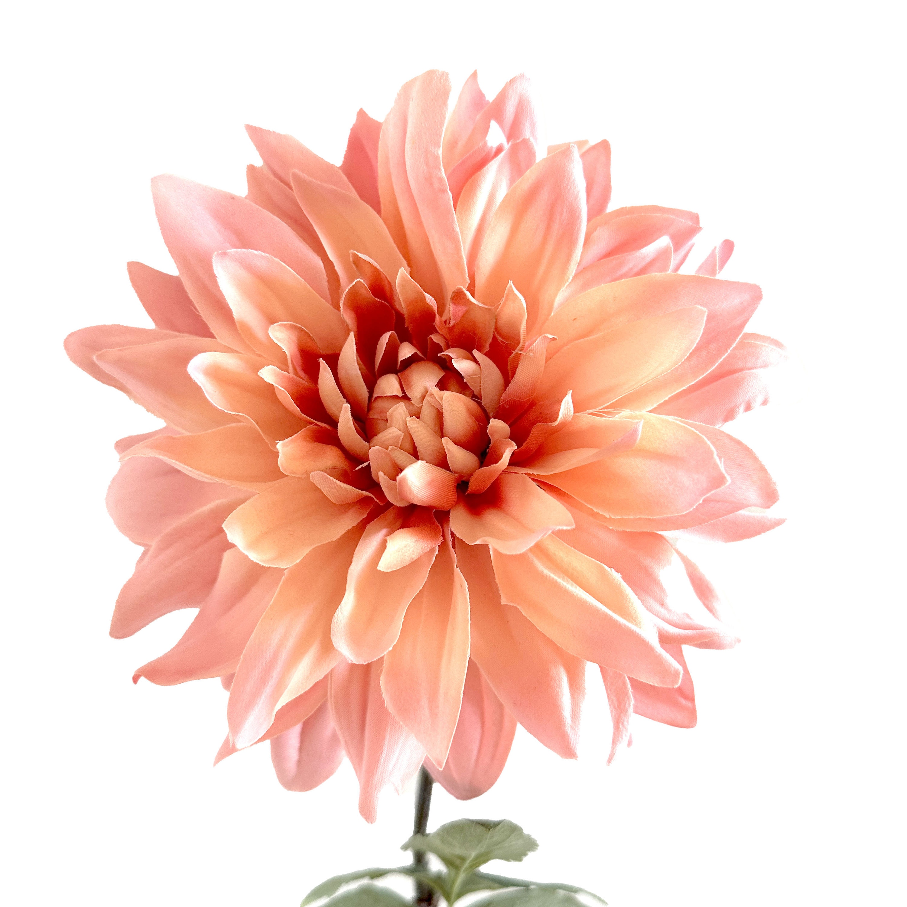 Creamy Pink Dinner Plate Dahlia - Artificial Flower, Silk Flower ...