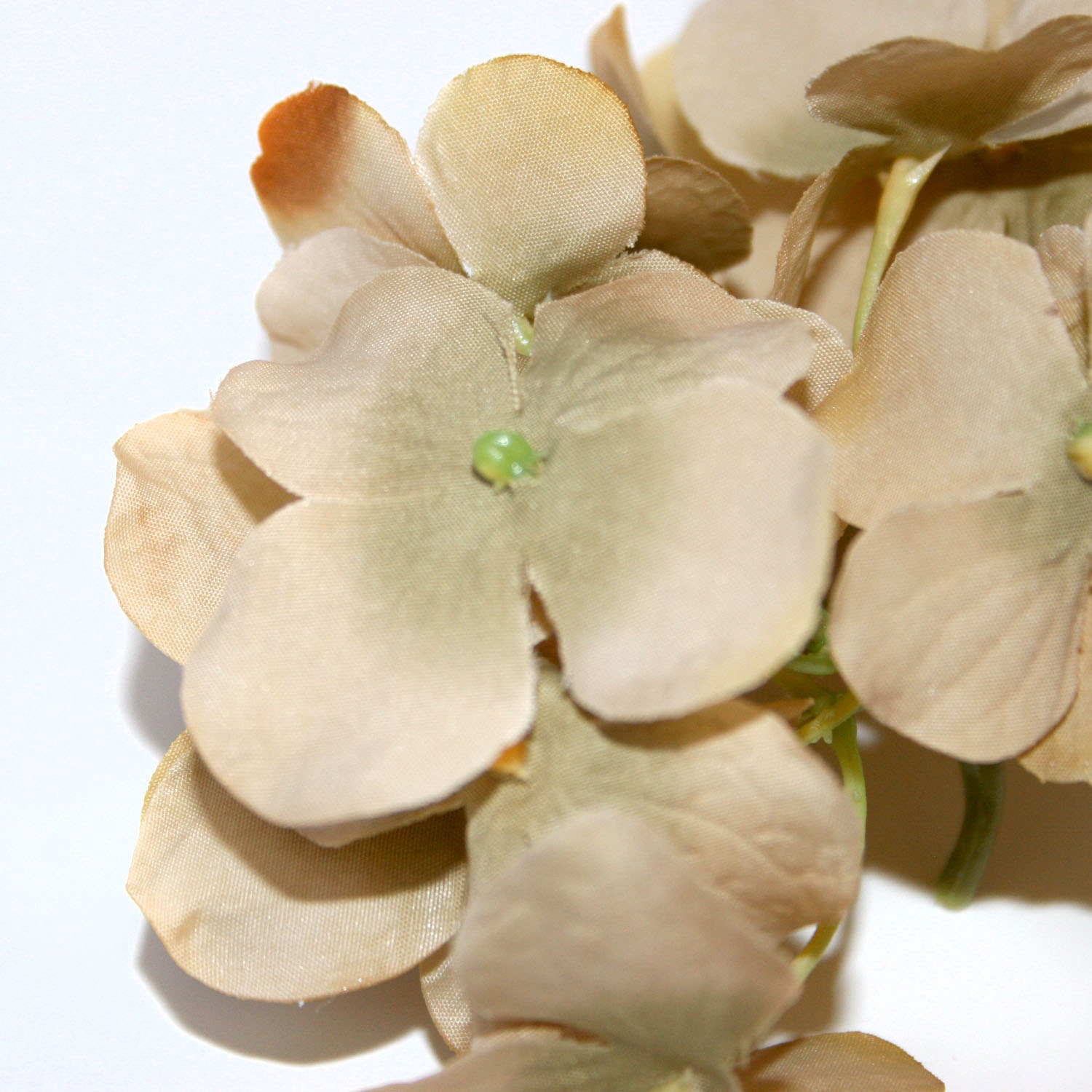 1 Beige Hydrangea Bunch - Small Head - Artificial Flowers, Blossoms ...