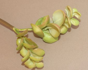 Small Flexible Faux Succulent in Green and Red - Artificial Succulents