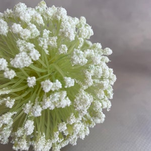 White and Green Allium Pick - Odd Floral, Dandelion, Snowball