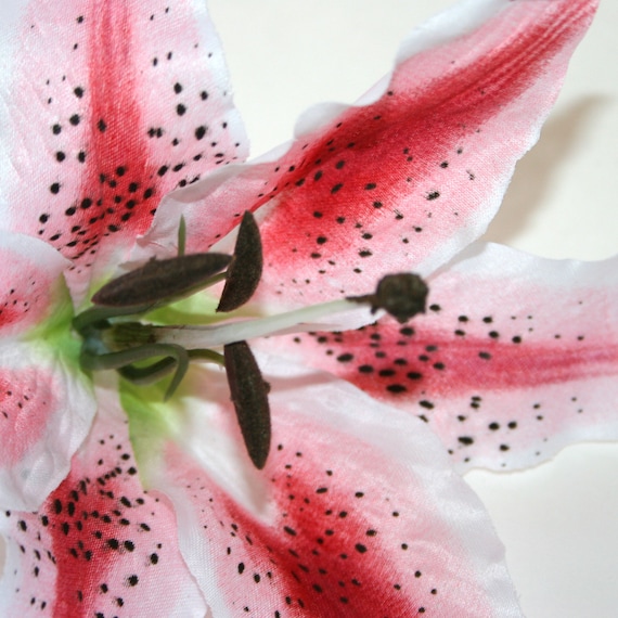 リナ・シェイニウス　FLOWERS 花を被写体にしたリナ・シェイニウス最新写真集『Flowers