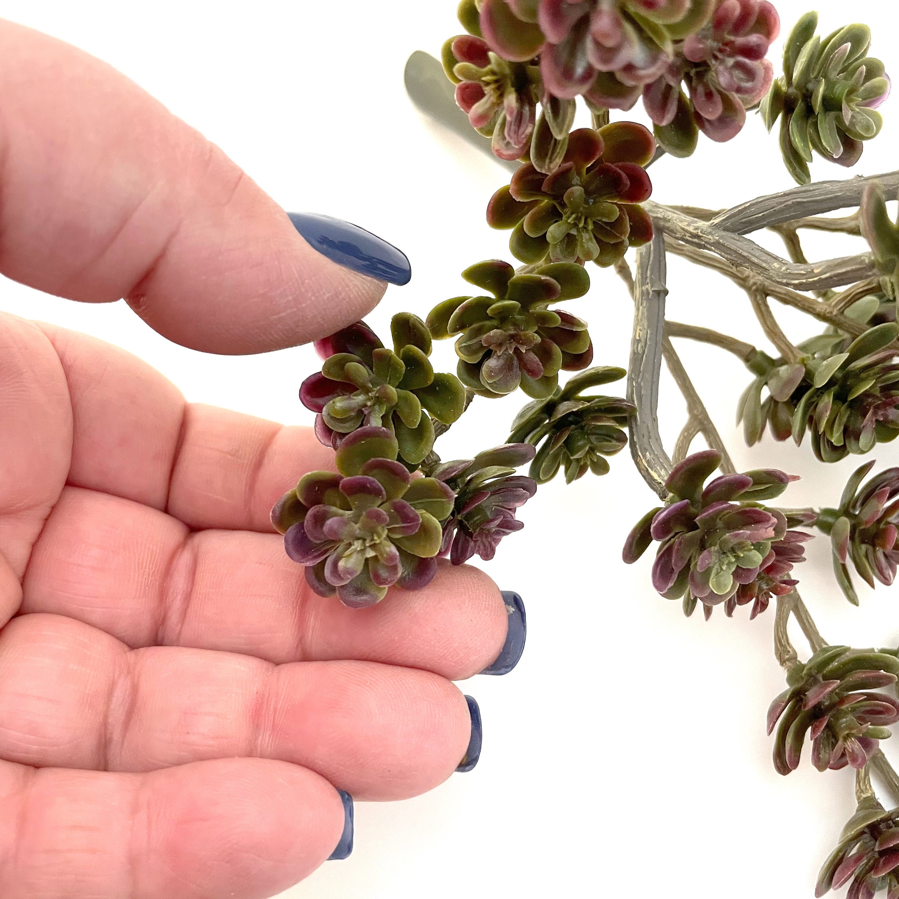 Artificial Mini Sedum Succulent Pick With 30 Mini Succulents Etsy UK