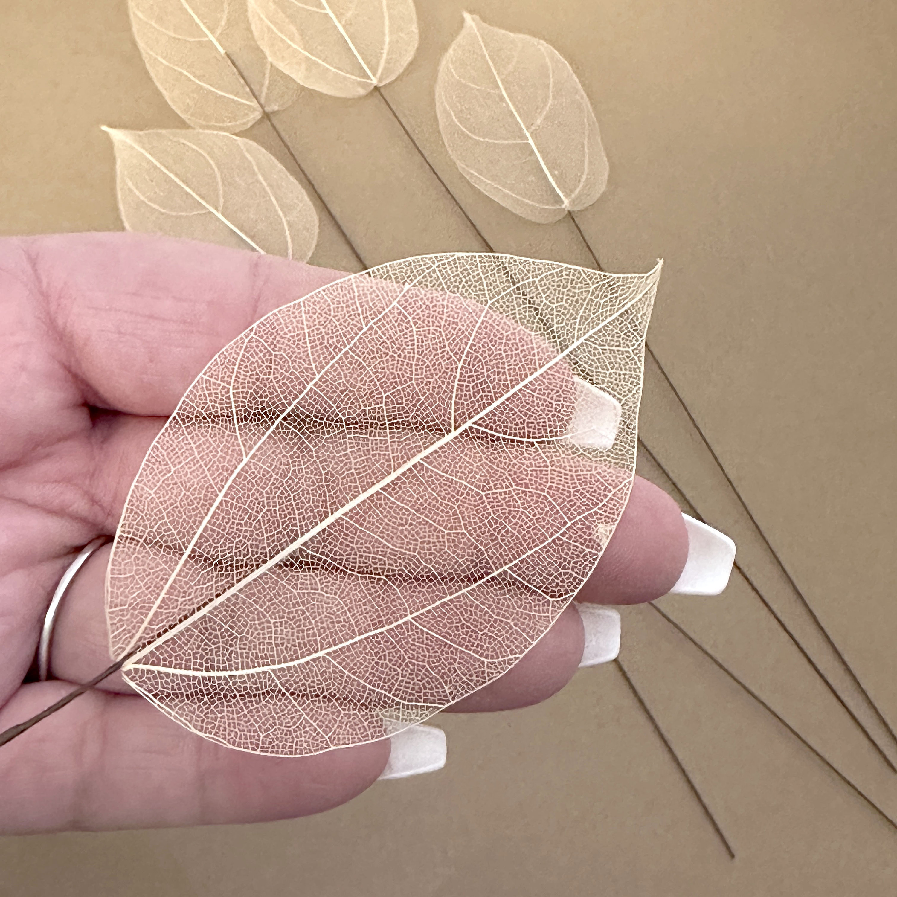 5 WHITE or CHAMPAGNE Lucency Leaves with Natural Vein - Artificial Leaves, Silk Leaves