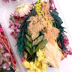 Pu&ograve; includere: Una collezione di fiori e foglie secche in un contenitore di plastica trasparente. I fiori sono un mix di rosa, giallo e bianco, e il fogliame &egrave; verde. I fiori sono disposti in modo casuale, e il contenitore &egrave; trasparente in modo che i fiori possano essere visti da tutti i lati.