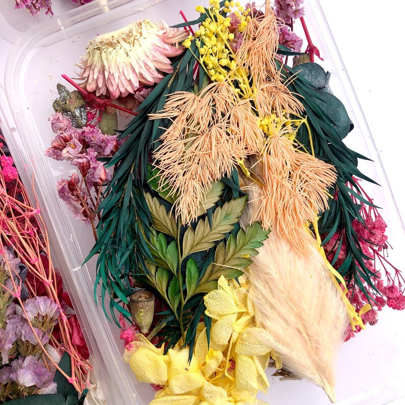 Dried Flowers 6x4x1.5 Box Resin DIY Craft Supply Nail Art Etsy