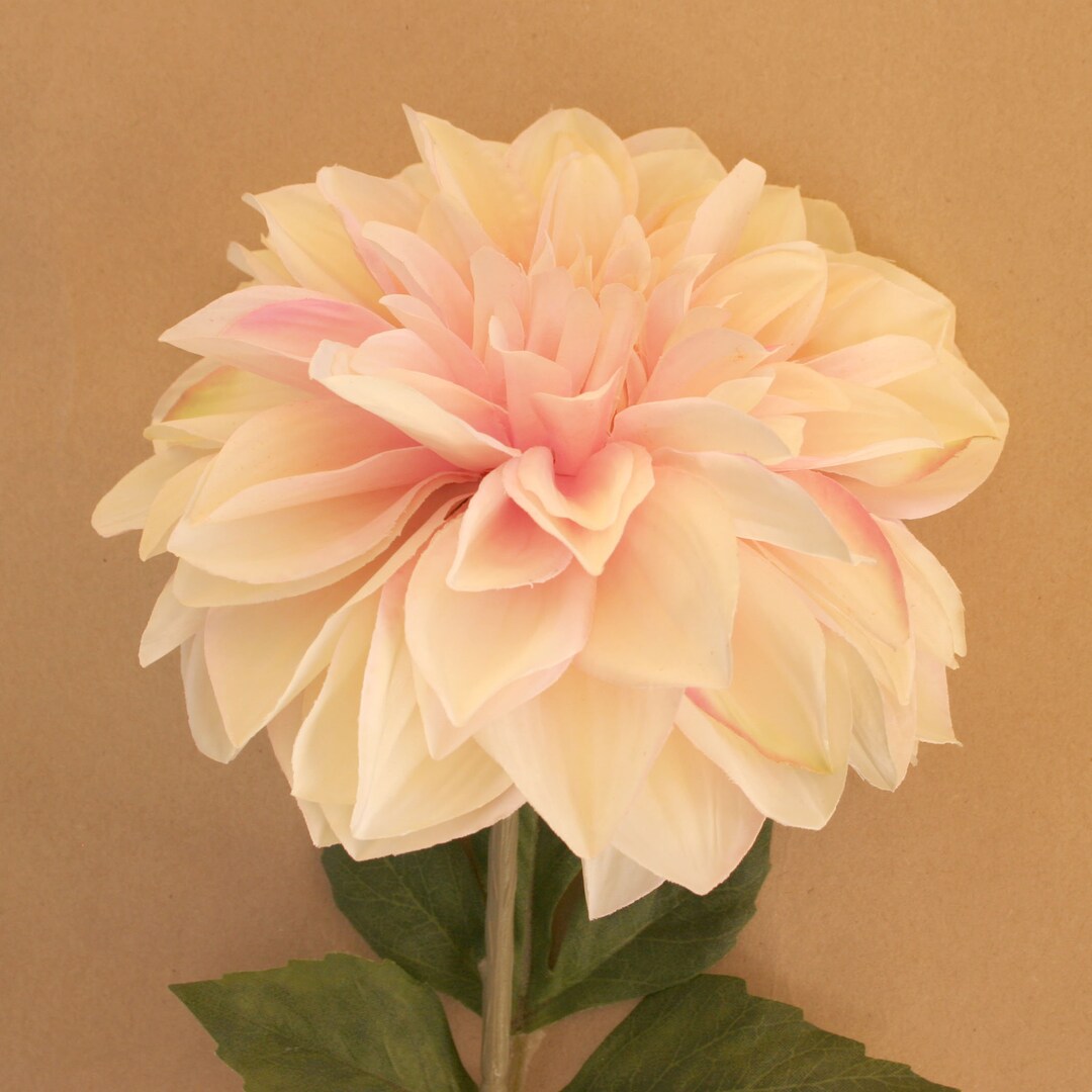Cream Blush Pink Silk Dinner Plate Dahlia - Artificial Flower, Silk ...