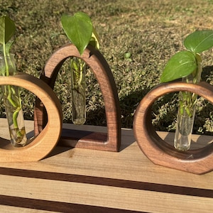 May include: Three wooden propagation stations with glass tubes holding green plants. The stations have different shapes: a circle, an arch, and another circle. The wood has a natural finish, and the plants have green leaves.