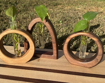 Hardwood Propagation Station: Hollow Shapes Plant Cuttings Holder
