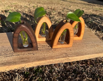 Small Hardwood Propagation Station: Hollow Shapes Plant Cuttings Holder