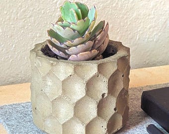 Jardinera de hormigón moderna