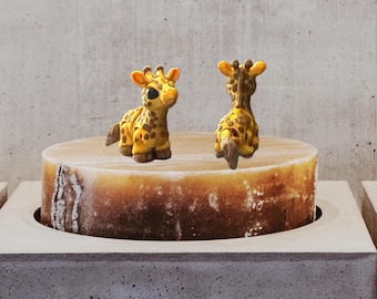 Ani-Pals - Tiny Animals