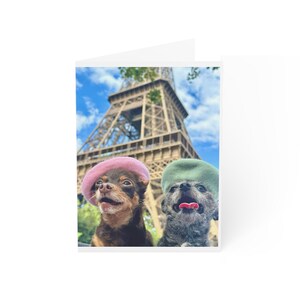 Chihuahuas in Paris Grußkarten (1, 10, 30, und 50 Stück)